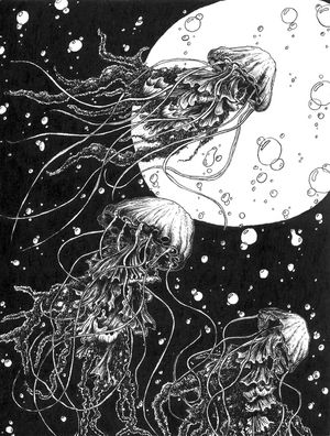JELLYFISHS