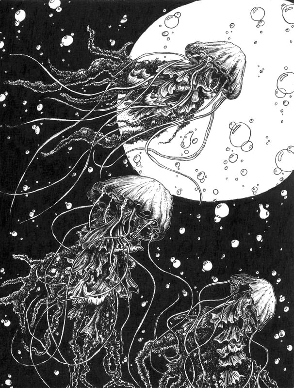 JELLYFISHS