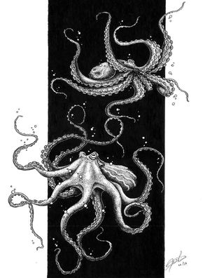 2 OCTOPUS