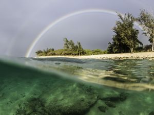 RAINBOW HAWAII