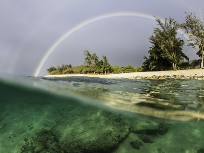 RAINBOW HAWAII