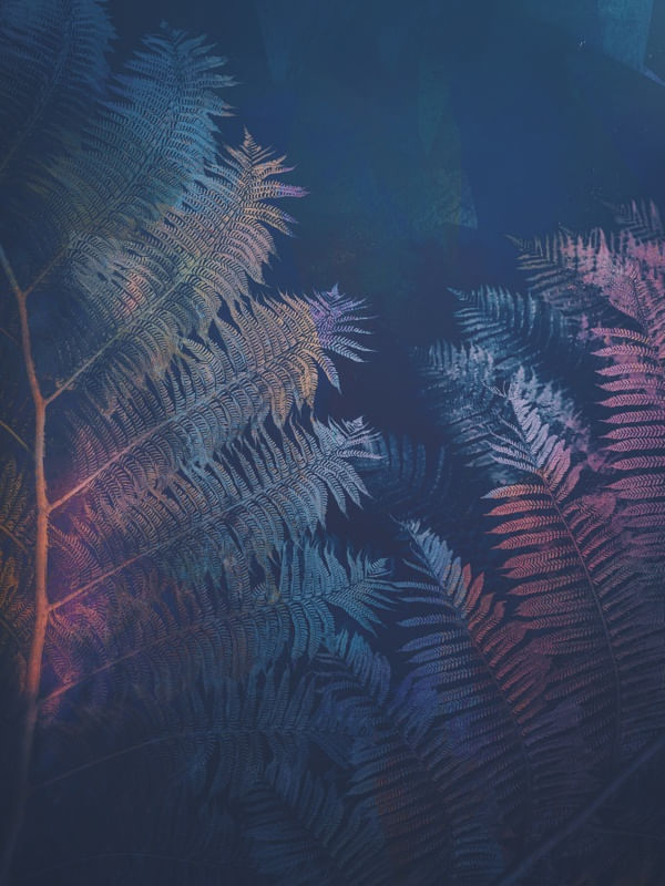 ABSTRACT FERN