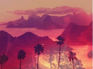 VISTA CHINESA PALMS