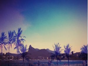 CRISTO&PALMS