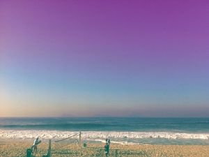 PURPLERIO