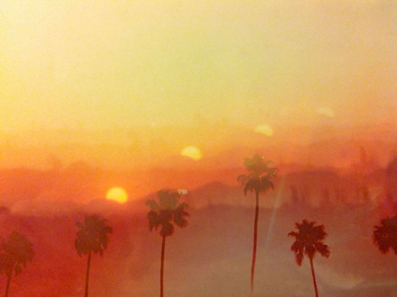 SUNSET&PALMS