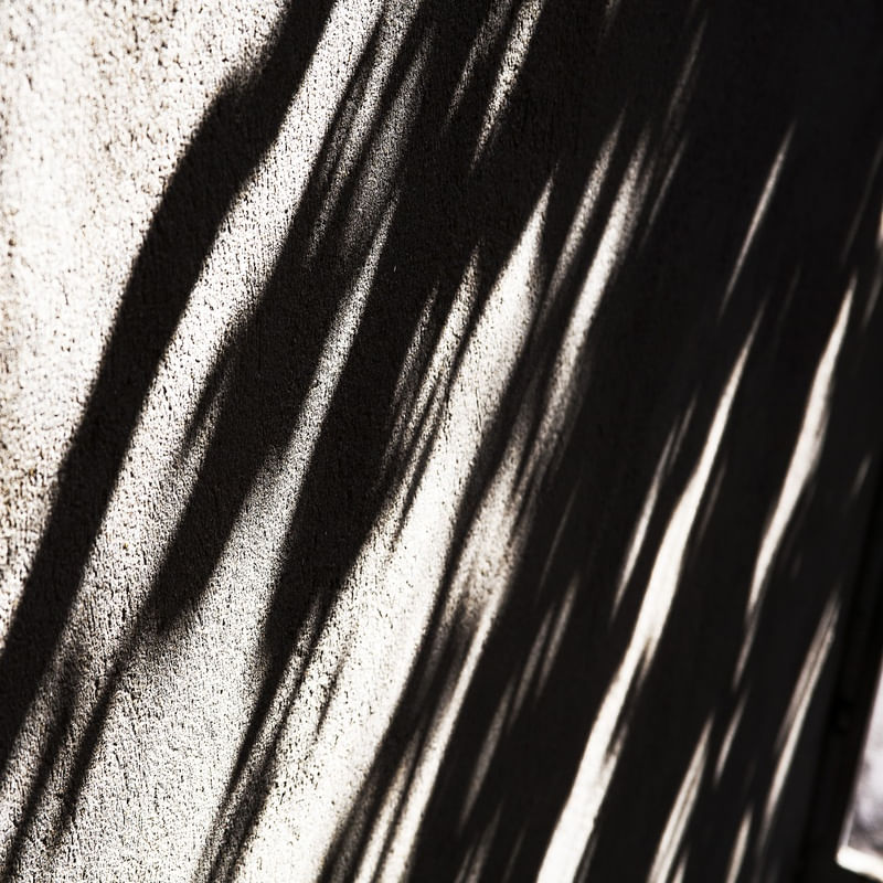 SOMBRAS 62018