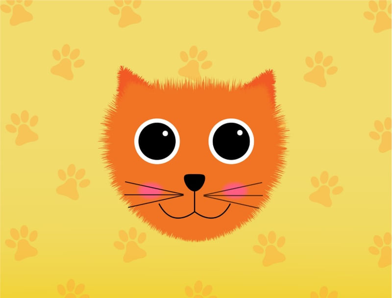 GATINHO FOFO