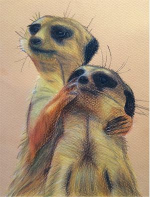 SURICATES
