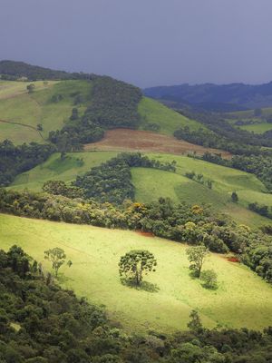HILLS