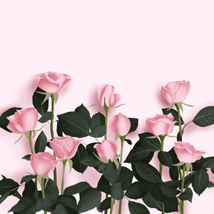 ROSES ROSES