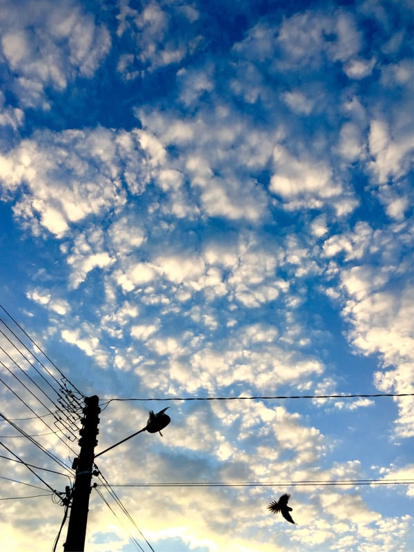 VOO AZUL 3/3