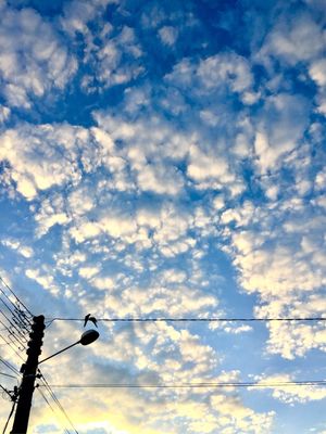 VOO AZUL 2/3