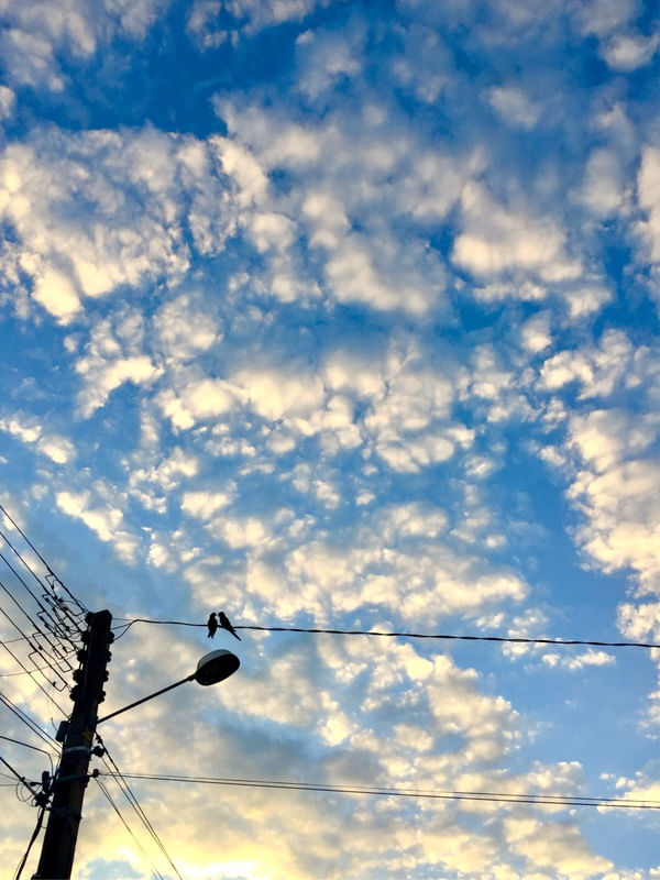 VOO AZUL 1/3