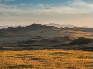 LINDA PAISAGEM DE CAMPO