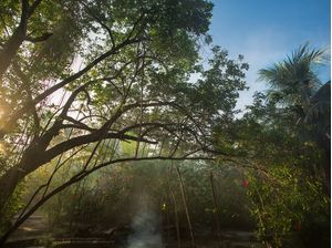 NATUREZA DA BAHIA