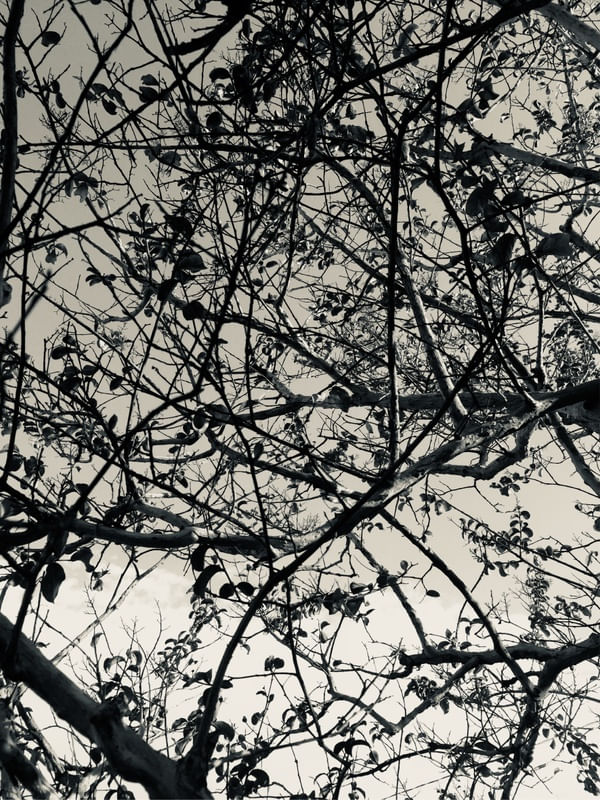 REFLEXO NO CÉU 01/02