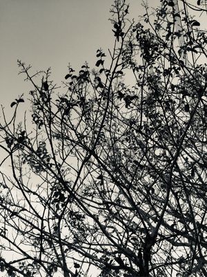 REFLEXO NO CÉU 02/02