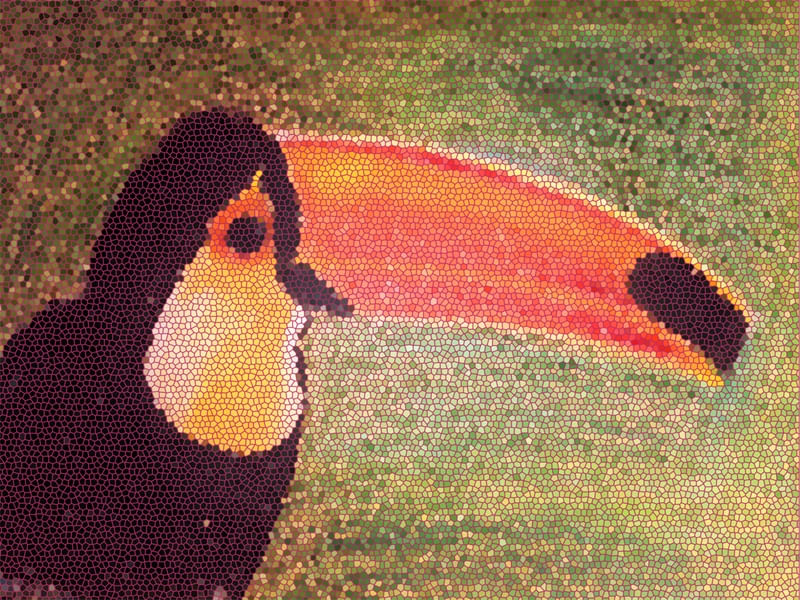 TUCANO VITRAL