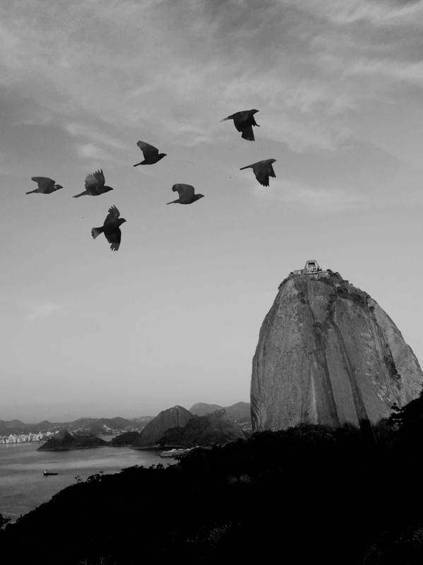 MEU RIO CONTINUA LINDO