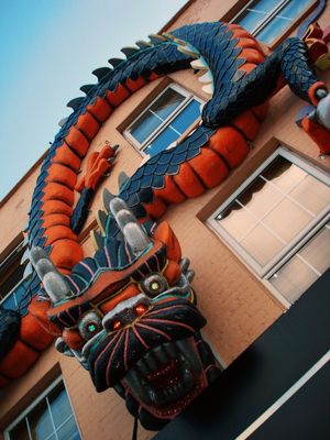 CAMDEN TOWN DRAGON