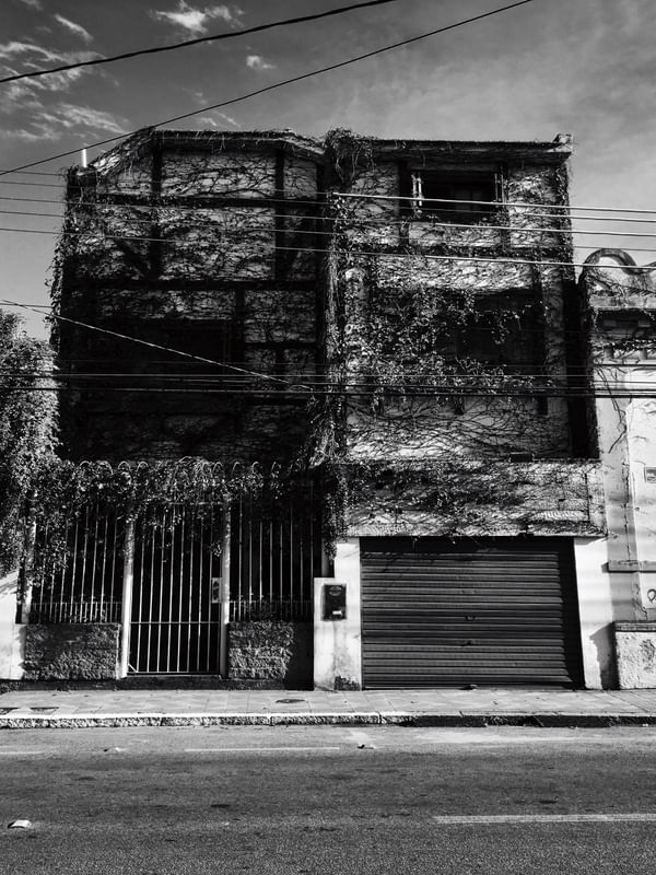 CASA CABELUDA PELOTAS