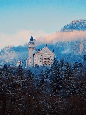NEUSCHWANSTEIN HIGH