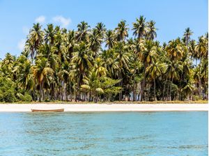 COQUEIROS DO NORDESTE 1
