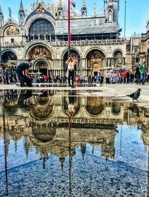 REFLEXO VENICE