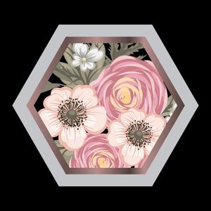 HEXÁGONO E FLORES