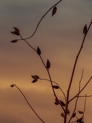 ENTARDECER 9