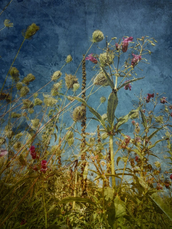 HEAT FLOWERS