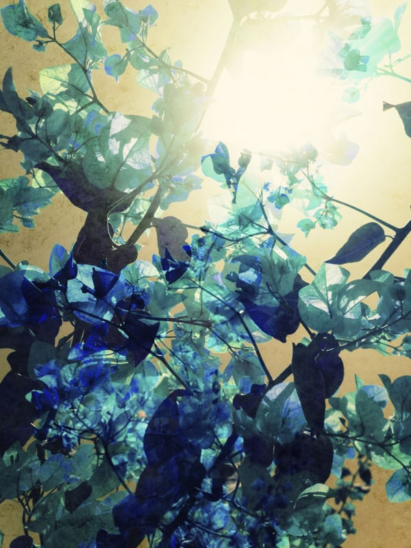 SUNNY BLUE