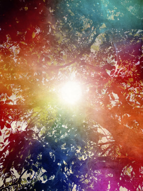 SUNSHINE MAGIC