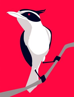 QUERO-QUERO MAGENTA