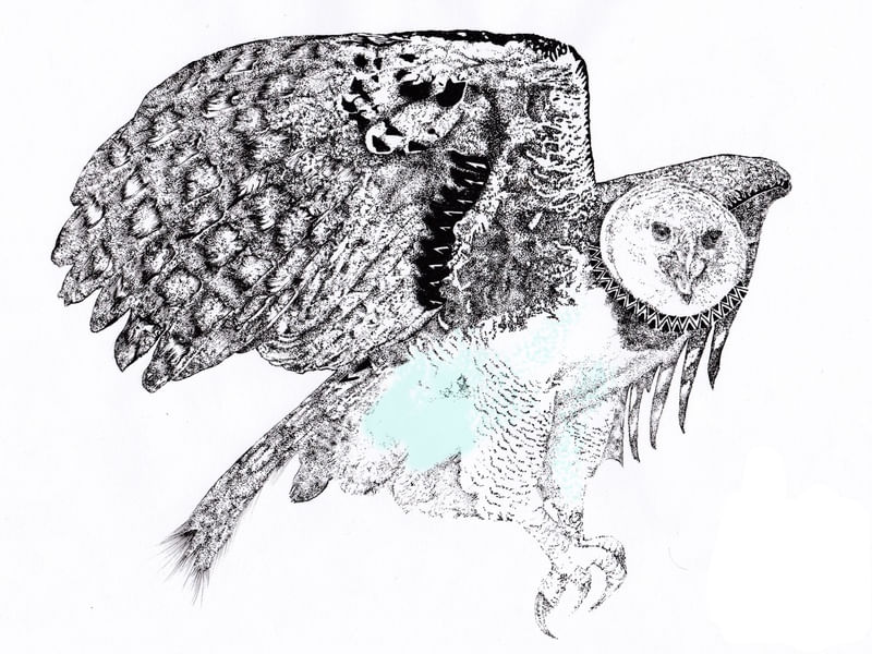 HARPIANATUREZA