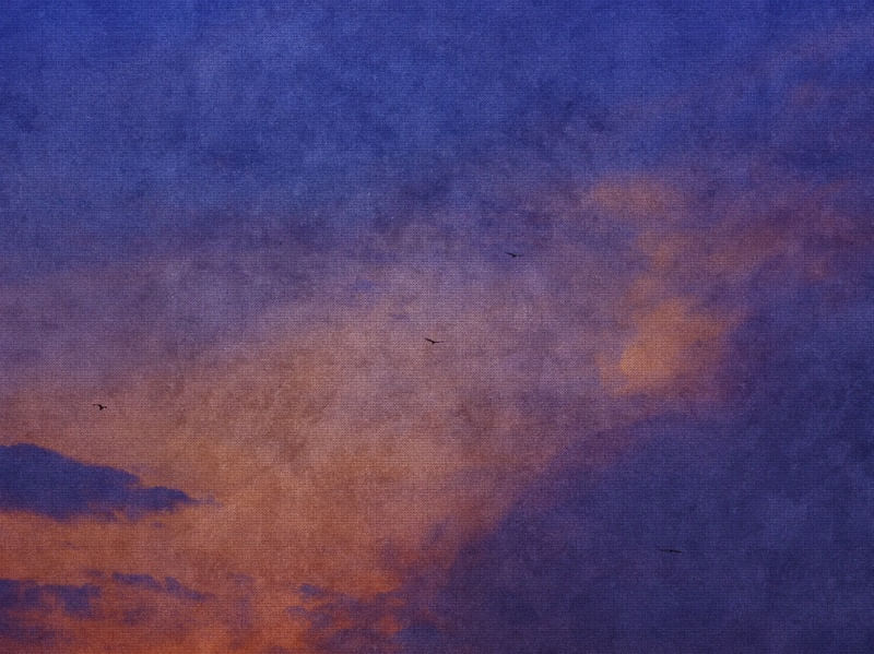 TURNER SKIES