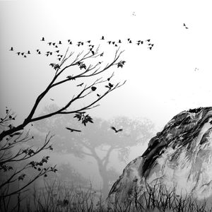 MONO NATURE