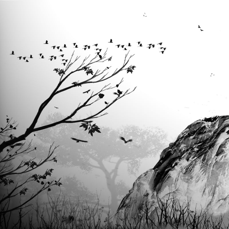 MONO NATURE