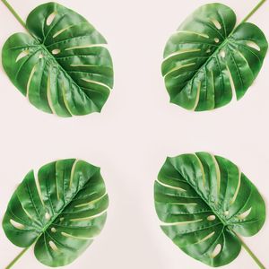 TROPICAL E ROSA III