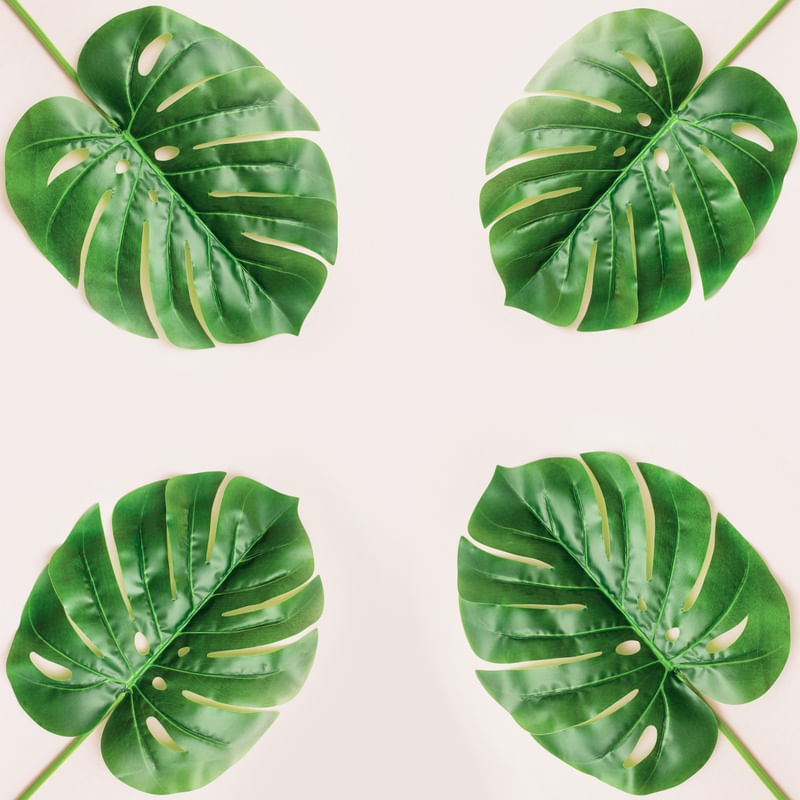 TROPICAL E ROSA III