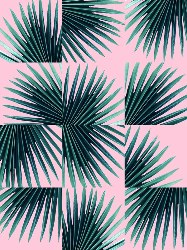 PADRÃO TROPICAL