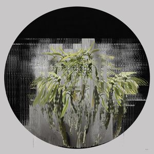 PLANTAS - COMPOSIÇÃO