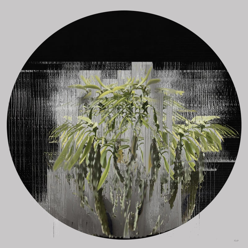 PLANTAS - COMPOSIÇÃO