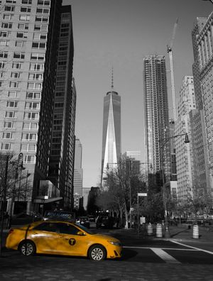NEW YORK MOMENT