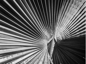 ESPIRAL P&B -EM