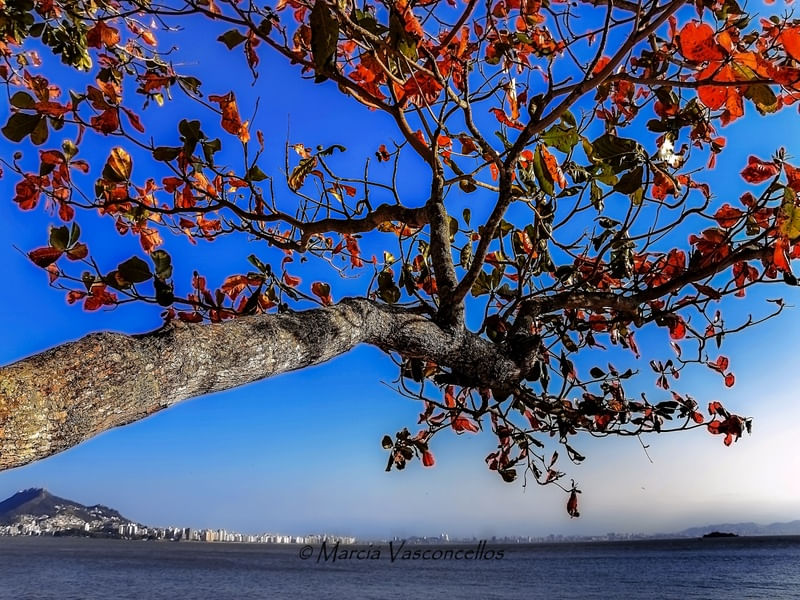 NATUREZA AZUL2