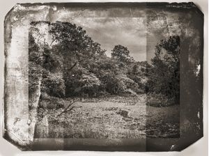 LEFT ON: FILM II