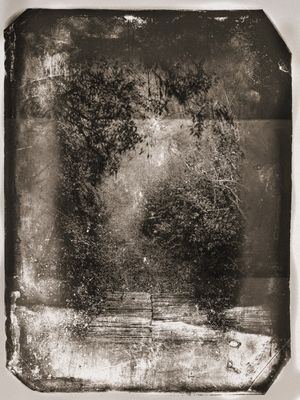 LEFT ON: FILM IV