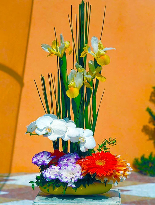 VASO COLORIDO